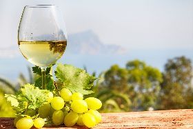 IL TREBBIANO TOSCANO: GIORNATA DI STUDIO E DEGUSTAZIONE